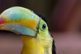 DSC_9044.jpg