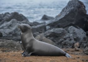 DSC_2131.jpg