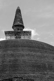 DSC_6856.jpg